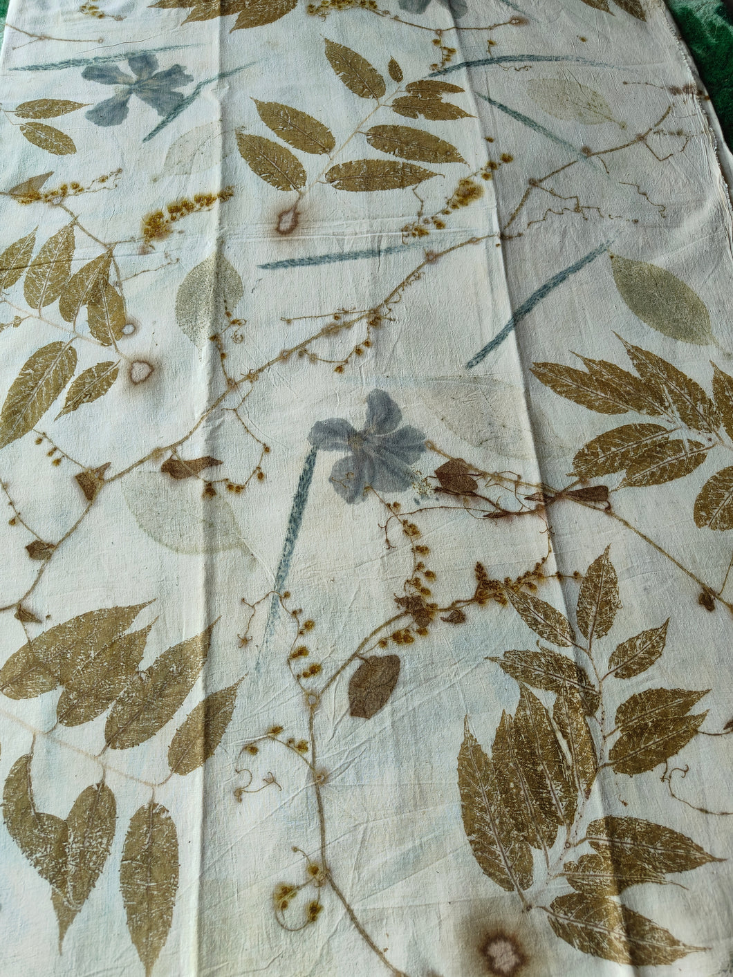 BOTANICAL ECO PRINT CASIA